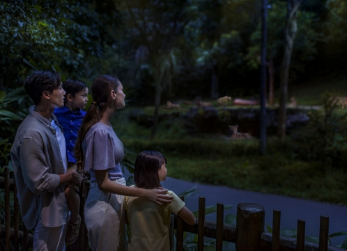 ナイトサファリ